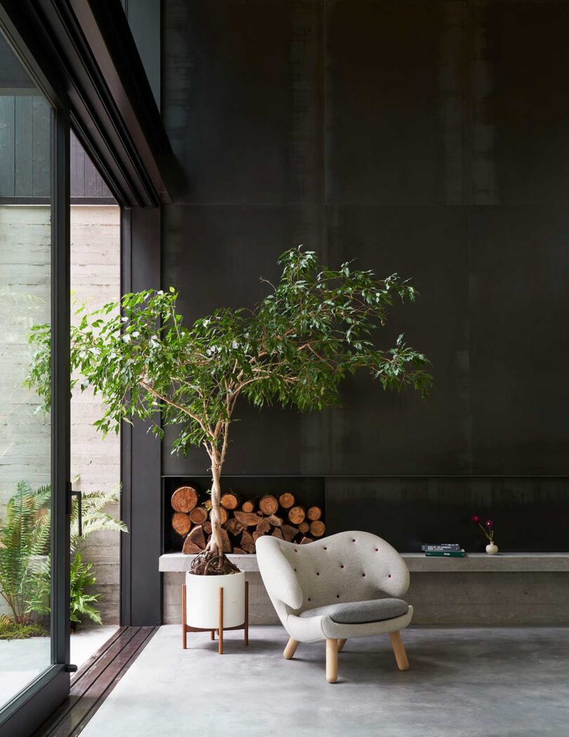 interior view of modern living space with black wall and grey chair and potted tree in front