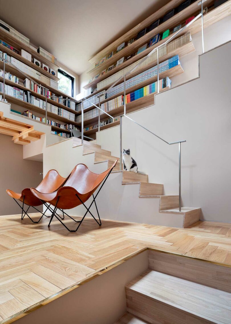 open modern living room with stairs rising to walls of shelves