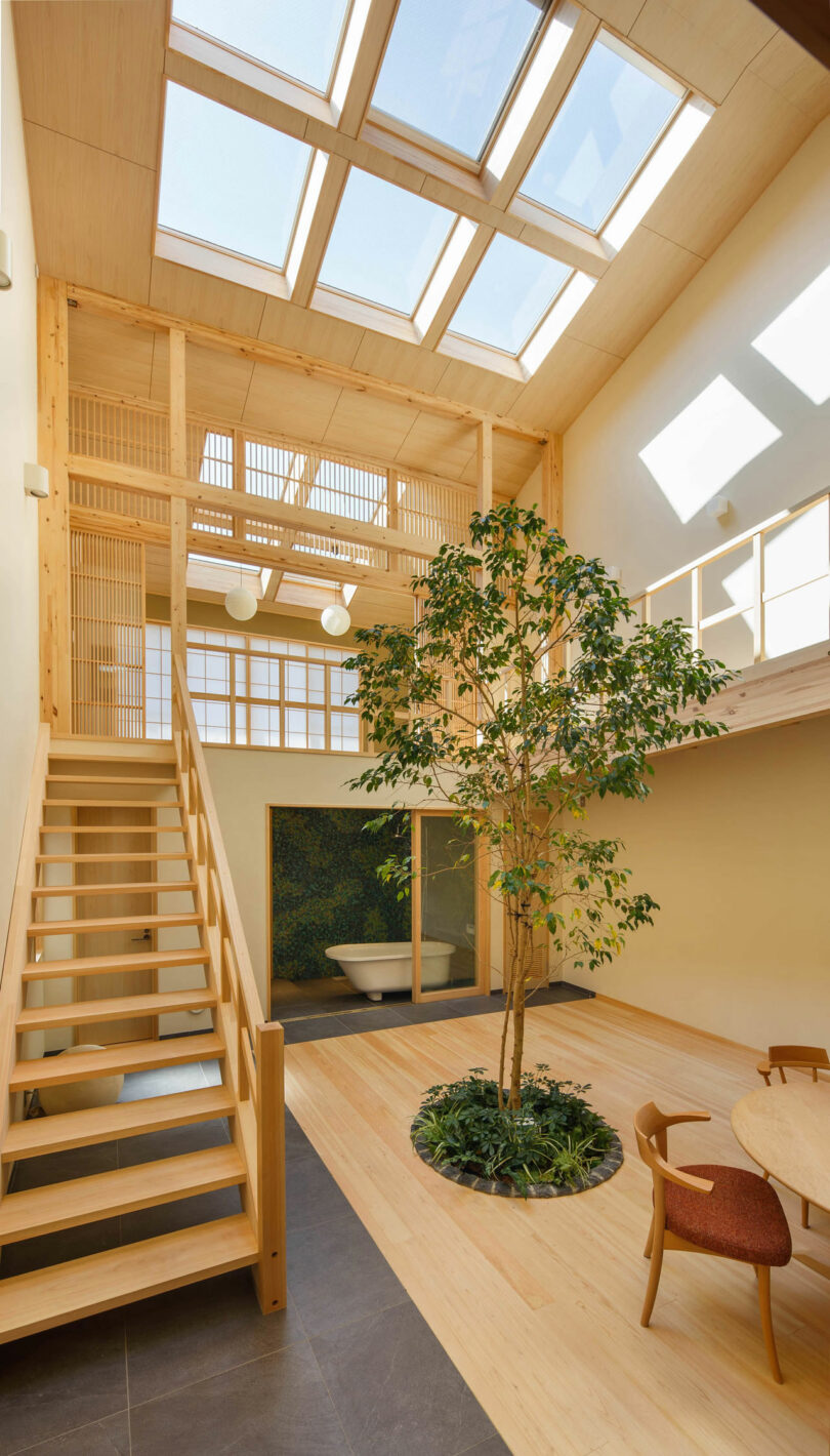 Interior of a modern homes double-height living space with wood walls and details with a tree planted in the center.