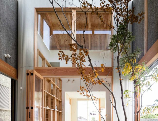 10 Modern Homes With Living Trees Growing Inside
