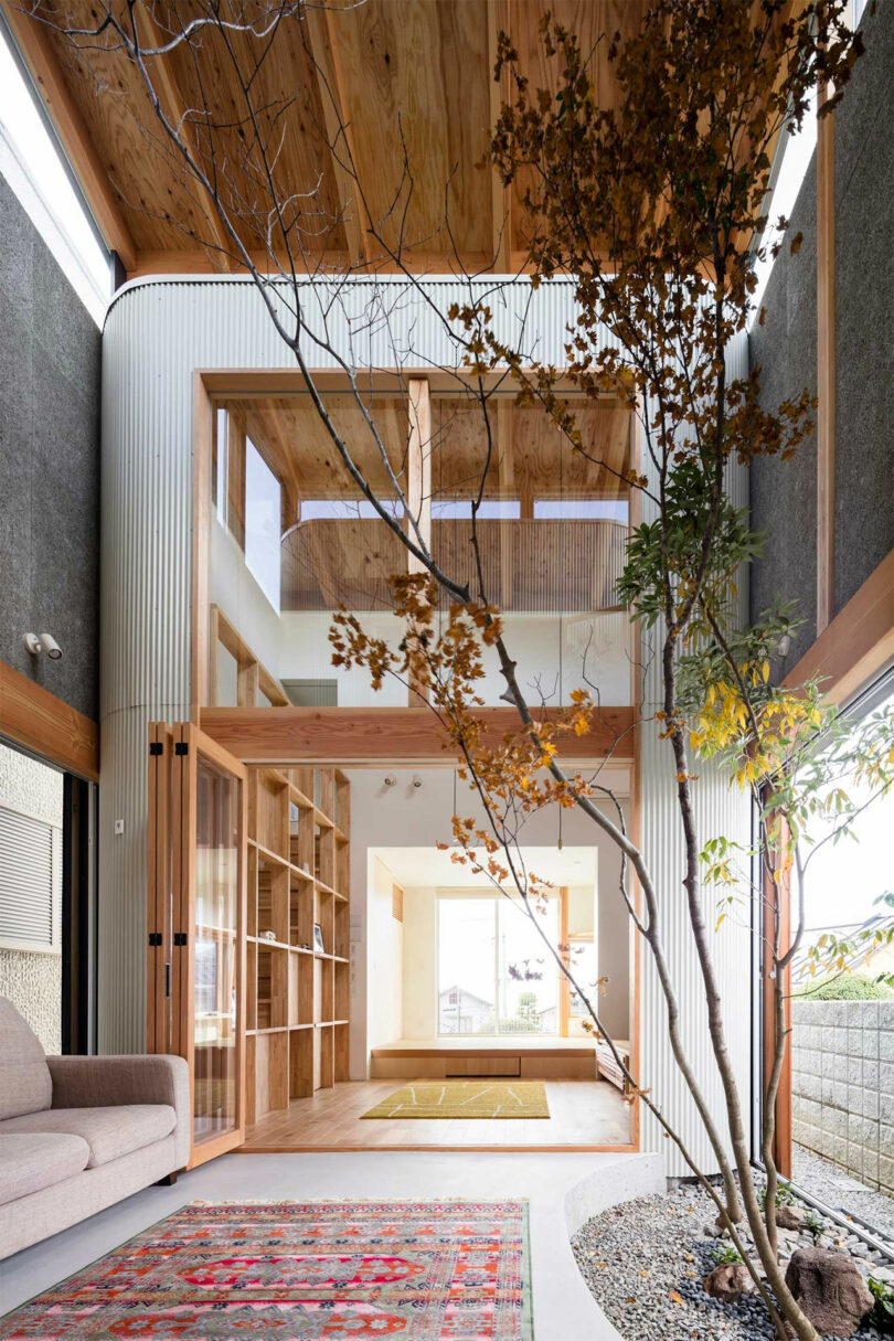Interior view through seating area of modern Japanese home with a tree growing through double-height space.