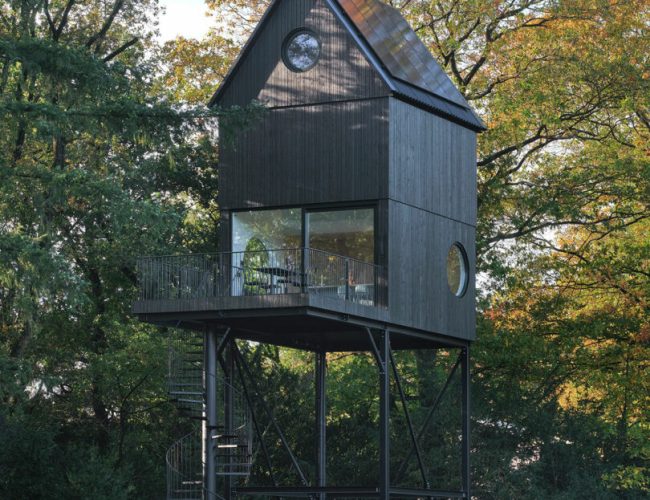 Buitenverblijf Nest: A Modern Cabin Escape Among the Treetops