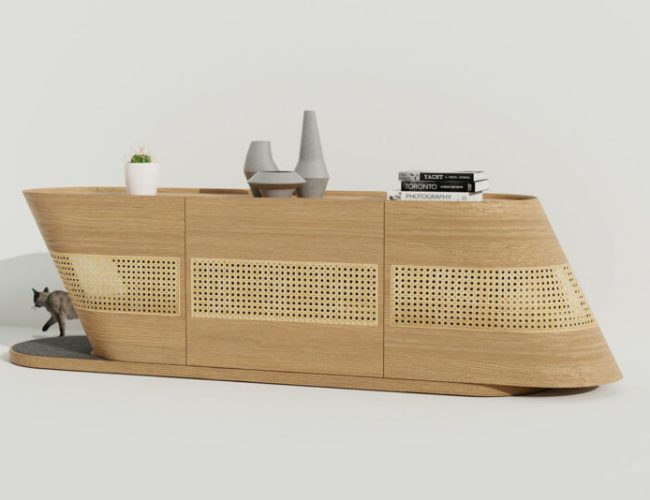 Choo Choo: A Modern Console Designed With Your Cat in Mind