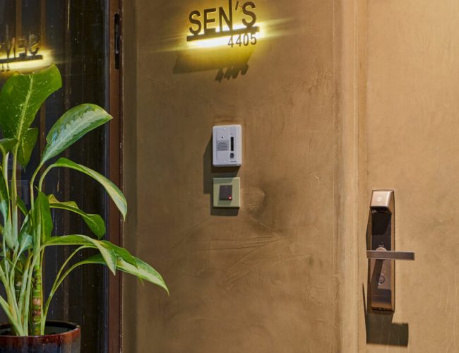 The Sen Home in Mumbai Is an Immersive Design Experience