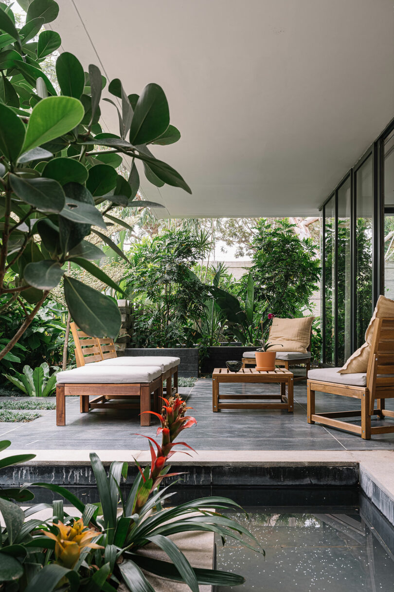 Luxurious outdoor patio with comfortable seating, a small pond, and lush tropical foliage, featuring large leafy green plants and glass panel walls.