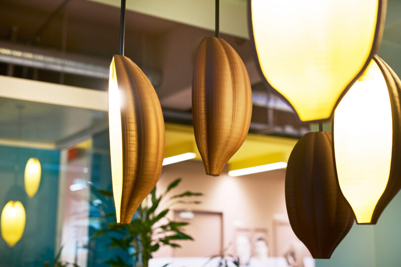 cacao pod pendant lamps